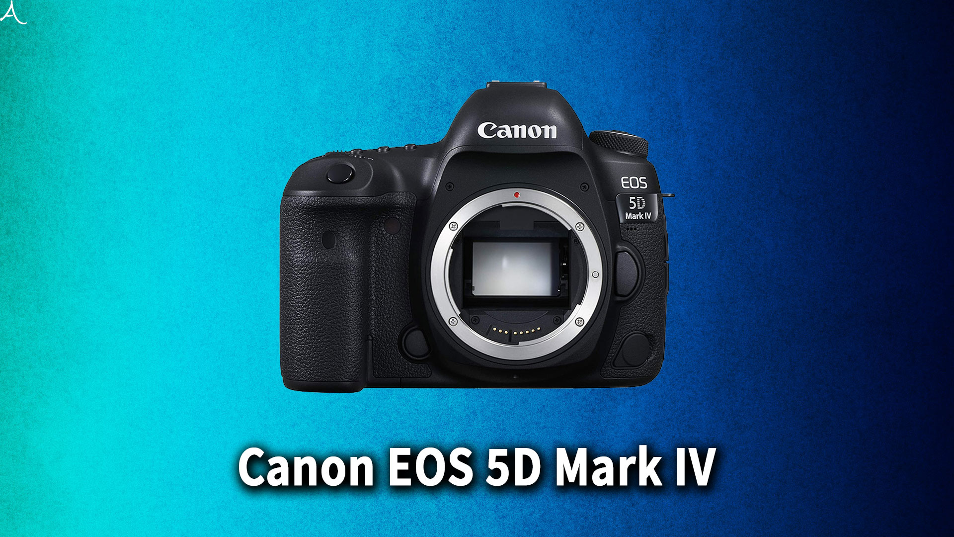 ｢Canon EOS 5D Mark IV｣のバッテリー持ちはどれくらい？互換性のあるバッテリーはこれ！