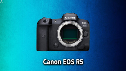 ｢Canon EOS R5｣のバッテリー持ちはどれくらい？互換性のある ...