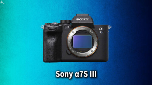 Sony a7S III｣のバッテリー持ちはどれくらい？ | あしゅらだ